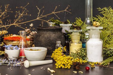 Cadılar Bayramı konsepti Cadının simya laboratuvarı.