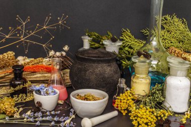 Cadılar Bayramı konsepti Cadının simya laboratuvarı.