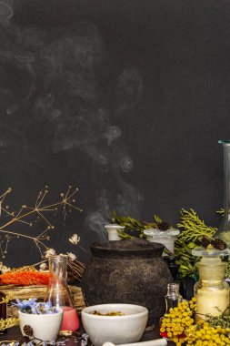 Cadılar Bayramı konsepti Cadının simya laboratuvarı.