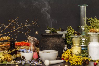 Cadılar Bayramı konsepti Cadının simya laboratuvarı.