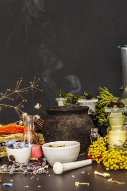 Cadılar Bayramı konsepti Cadının simya laboratuvarı.