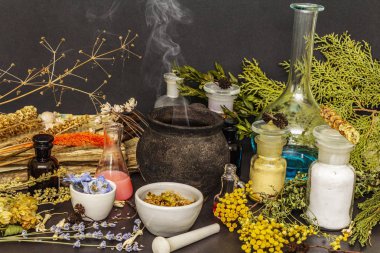 Cadılar Bayramı konsepti Cadının simya laboratuvarı.