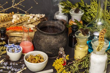 Cadılar Bayramı konsepti Cadının simya laboratuvarı.