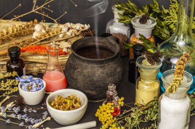 Cadılar Bayramı konsepti Cadının simya laboratuvarı.