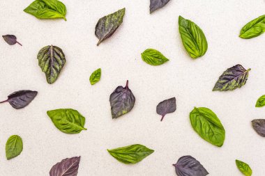 Taş zeminin üzerinde yeşil ve mor fesleğen yaprakları