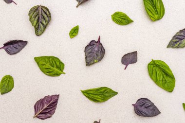 Taş zeminin üzerinde yeşil ve mor fesleğen yaprakları