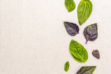 Taş zeminin üzerinde yeşil ve mor fesleğen yaprakları