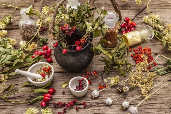 Hintergrund des Halloween-Konzepts. Hexenmelone, Mistel, Holunder. Trockene Kräuter, Blumen, frische Beeren — Stockfoto