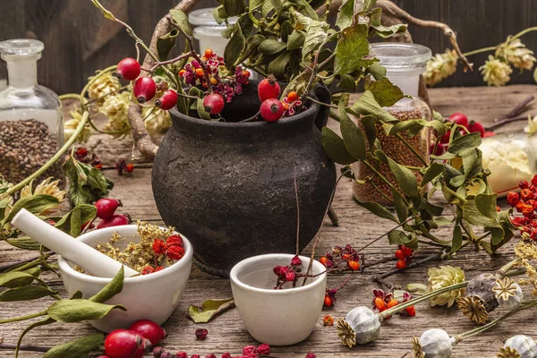 Halloween concept background. Witch bowler, mistletoe, elderberry. Dry herbs, flowers, fresh berries — Stock Photo, Image