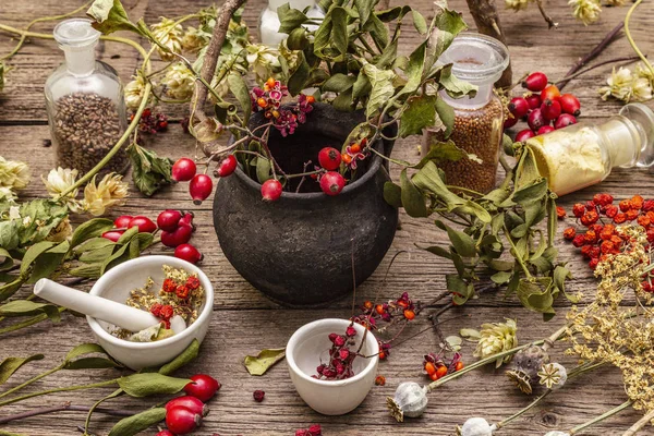 Halloween concept background. Witch bowler, mistletoe, elderberry. Dry herbs, flowers, fresh berries — Stock Photo, Image