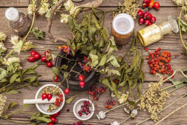 Cadılar Bayramı konsepti. Cadı avcısı, ökseotu, mürver ağacı. Kuru otlar, çiçekler, taze meyveler.