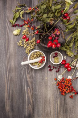 Cadılar Bayramı konsepti. Cadı avcısı, ökseotu, mürver ağacı. Kuru otlar, çiçekler, taze meyveler.