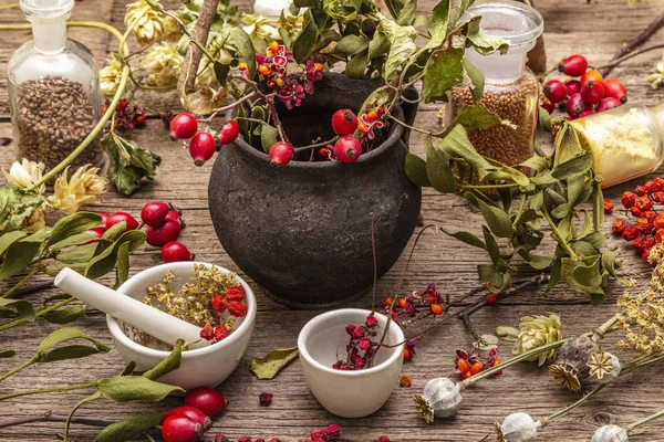 Halloween concept background. Witch bowler, mistletoe, elderberry. Dry herbs, flowers, fresh berries — Stock Photo, Image