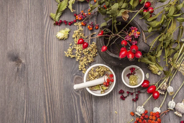 Concepção de Halloween. Bruxa jogador, azevinho, sabugueiro. Ervas secas, flores, bagas frescas — Fotografia de Stock