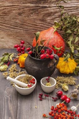 Cadılar Bayramı konsepti. Cadı avcısı, ökseotu, mürver ağacı. Kuru otlar, çiçekler, taze meyveler.