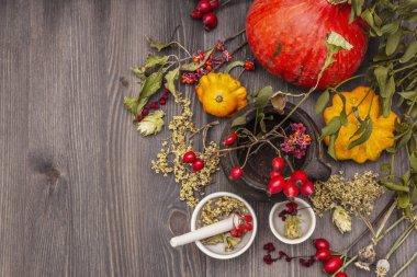 Cadılar Bayramı konsepti. Cadı avcısı, ökseotu, mürver ağacı. Kuru otlar, çiçekler, taze meyveler.