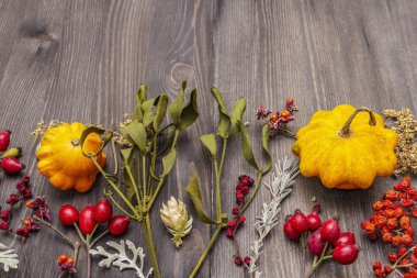 Cadılar Bayramı sonbahar konsepti. Balkabağı, ökseotu, mürver, haşhaş, hop, köpek gülü, schisandra