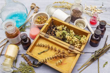 Scary halloween Laboratuvarı