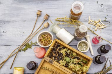 Scary halloween Laboratuvarı