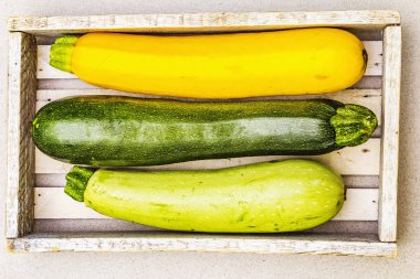 Renkli kabak çeşitleri.