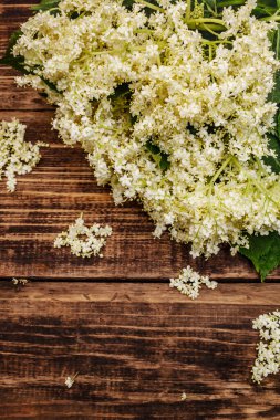 Taze kokulu yaşlı çiçekler. Eski tahta arka plan