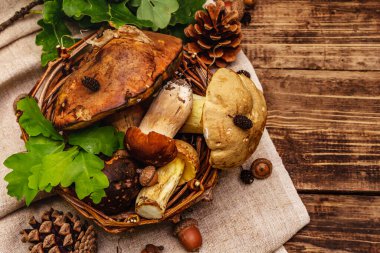 Taze orman mantarları. Türlü gurme porcini ve boletus, meşe yaprakları. Eski tahta zemin, üst görünüm