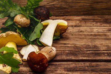 Taze orman mantarları. Gurme porcini ve boletus, meşe yaprakları. Eski tahta arkaplan, boşluğu kopyala