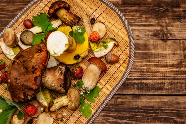 Fresh Forest Mushrooms Assorted Gourmet Porcini Boletus Oak Leaves Strawberries — Stock Photo, Image