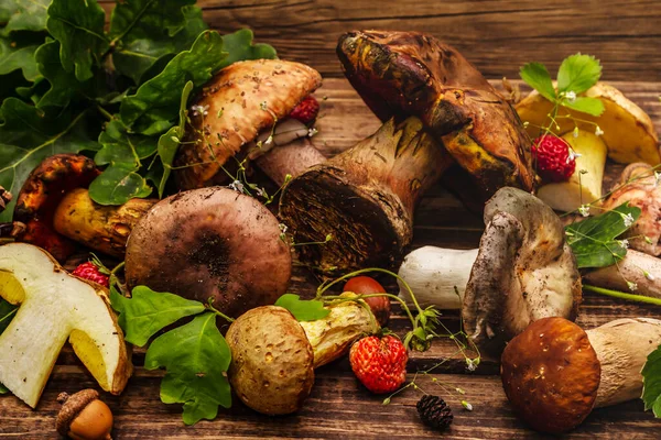 Färsk Skogssvamp Blandade Porcini Boletus Russula Blusher Ekblad Jordgubbar Gamla — Stockfoto