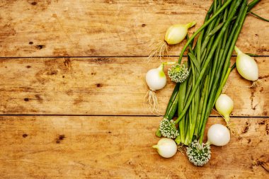 Taze soğan ve yeşillikleri. Yemek pişirmek için geleneksel malzeme. Infloresans, eski ahşap arka plan