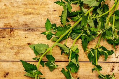 Genç Melissa, nane şekeri. Yemek pişirmek için geleneksel malzeme. Eski tahta arkaplan