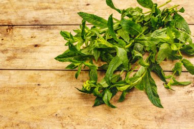 Taze taze nane. Yemek pişirmek için geleneksel malzeme. Eski tahta arkaplan