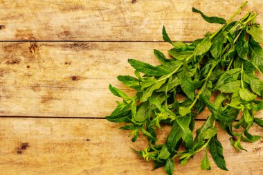 Taze taze nane. Yemek pişirmek için geleneksel malzeme. Eski tahta arkaplan