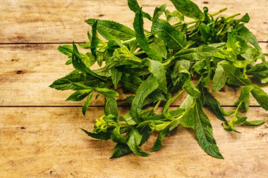 Taze taze nane. Yemek pişirmek için geleneksel malzeme. Eski tahta arkaplan