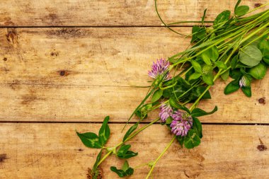 Bir demet taze yonca. Tahta kaplama arka plan