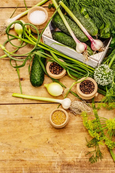 Koncept Nakládané Zeleniny Vaření Koření Čerstvé Vonné Bylinky Zralé Okurky — Stock fotografie