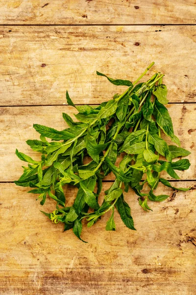 Frische Junge Minze Traditionelle Zutat Zum Kochen Alter Hölzerner Hintergrund — Stockfoto