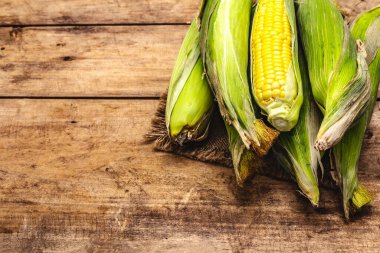 Kabuklu taze mısır koçanları. Yeni hasat, çuval bezi, tahta tahta arka plan, kopyalama alanı