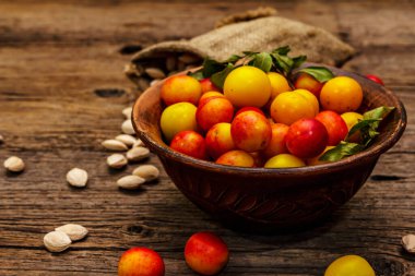 Olgun vişneli erik hasadı. Çuvalda meyve ve tohum çeşitleri var. Eski tahta arka plan, kapat