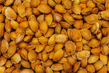 Kayısı tohumları arka planı. Tahta zemin, üst manzara.