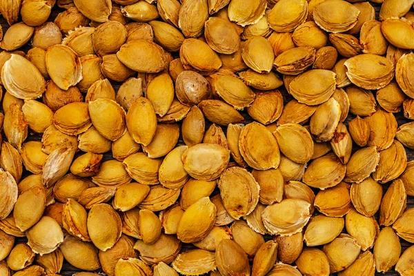 Kayısı tohumları arka planı. Tahta zemin, üst manzara.