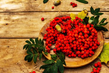 Yuvarlak tabakta olgun yaban mersini ve kirazlı erik meyvesi. Sonbahar iyi ruh hali, eski tahta arka plan, kopyalama alanı