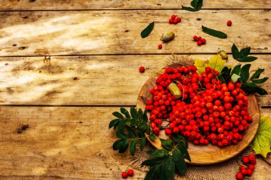 Yuvarlak tabakta olgun yaban mersini ve kirazlı erik meyvesi. Sonbahar iyi ruh hali, eski tahta arka plan, kopyalama alanı