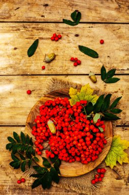 Yuvarlak tabakta olgun yaban mersini ve kirazlı erik meyvesi. Sonbahar neşesi, eski tahta arka plan, üst manzara.