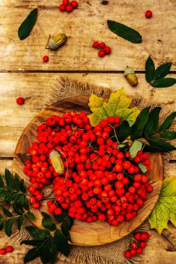 Yuvarlak tabakta olgun yaban mersini ve kirazlı erik meyvesi. Sonbahar neşesi, eski tahta arka plan, üst manzara.