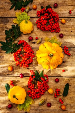 Şükran Günü ya da Cadılar Bayramı sonbahar geçmişi. Taze balkabakları, kiraz erikleri, meşe palamudu ve olgun yaban mersinleri eski ahşap masada, kapayın.