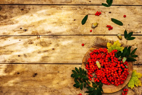 Yuvarlak tabakta olgun yaban mersini ve kirazlı erik meyvesi. Sonbahar neşesi, eski tahta arka plan, üst manzara.