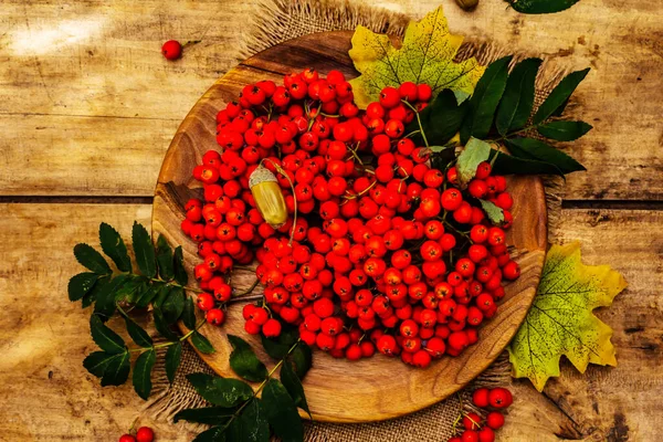 Yuvarlak tabakta olgun yaban mersini ve kirazlı erik meyvesi. Sonbahar neşesi, eski tahta arka plan, kapat.