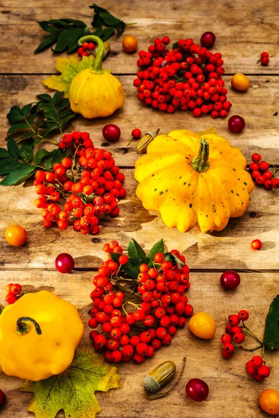 Şükran Günü ya da Cadılar Bayramı sonbahar geçmişi. Taze balkabakları, kiraz erikleri, meşe palamudu ve olgun yaban mersinleri eski ahşap masada, kapayın.
