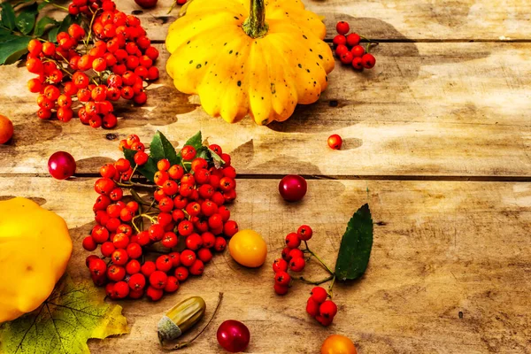 Şükran Günü ya da Cadılar Bayramı sonbahar geçmişi. Taze balkabakları, kiraz erikleri, meşe palamudu ve olgun yaban mersini eski ahşap masada, kopyalama alanı